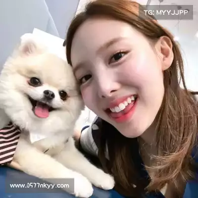 云维燕